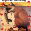 gypsywonder529